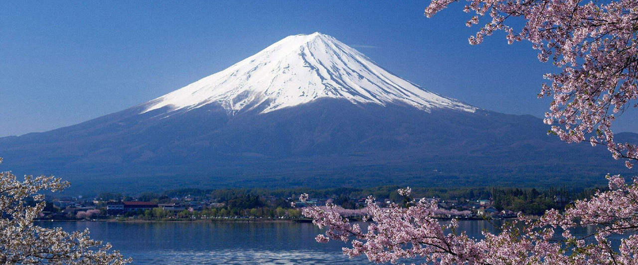 Professional: Shigoto no ryûgi