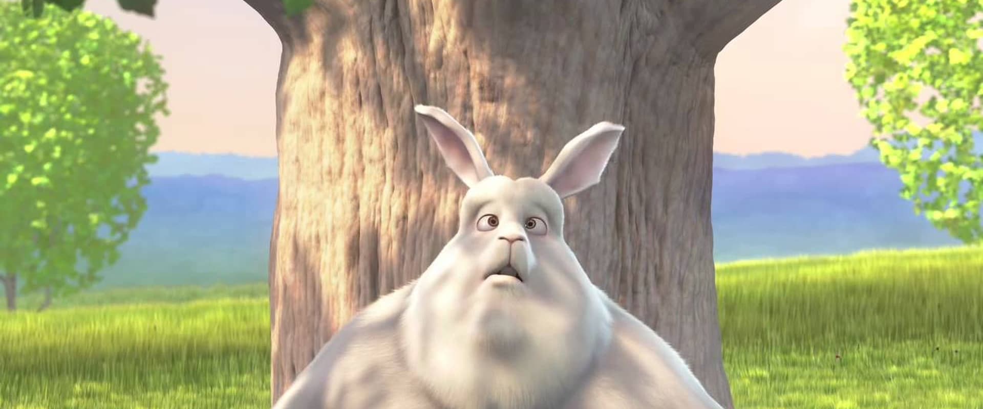 Big Buck Bunny