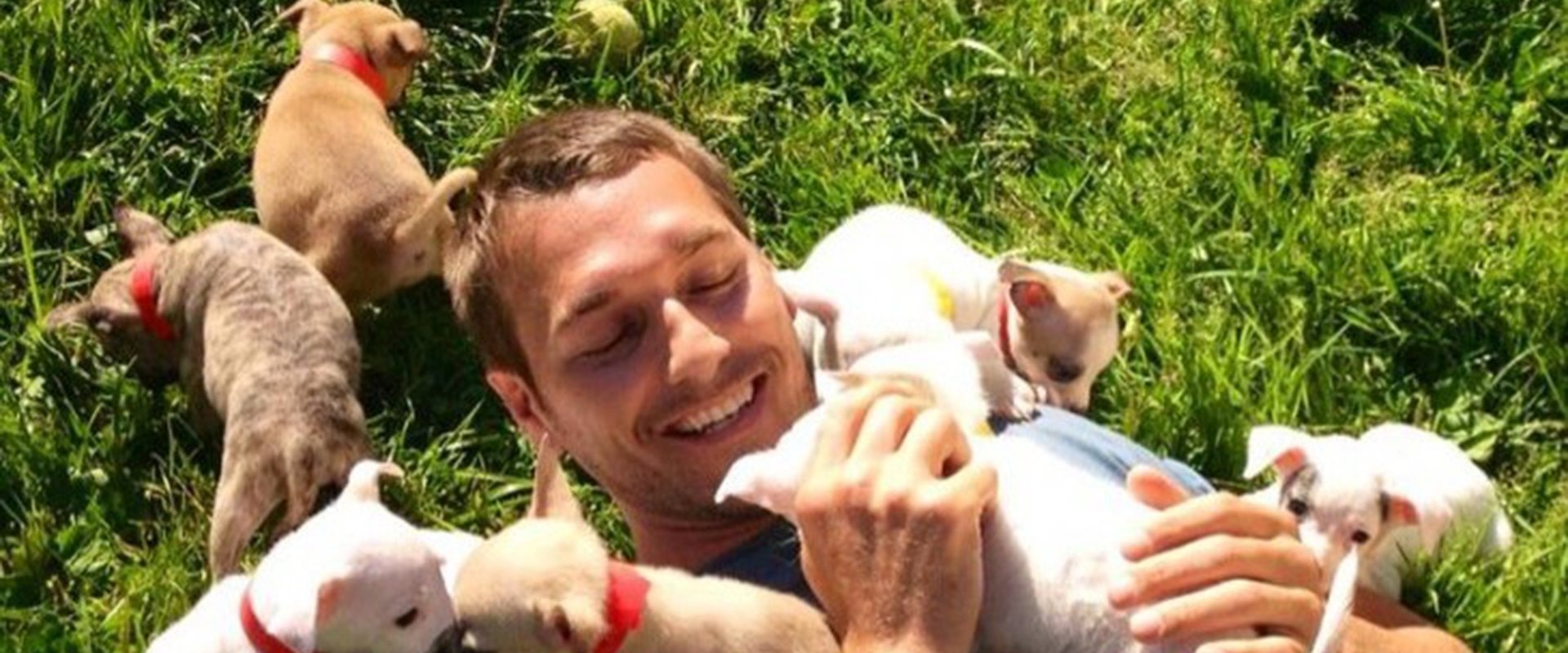 Lucky Dog