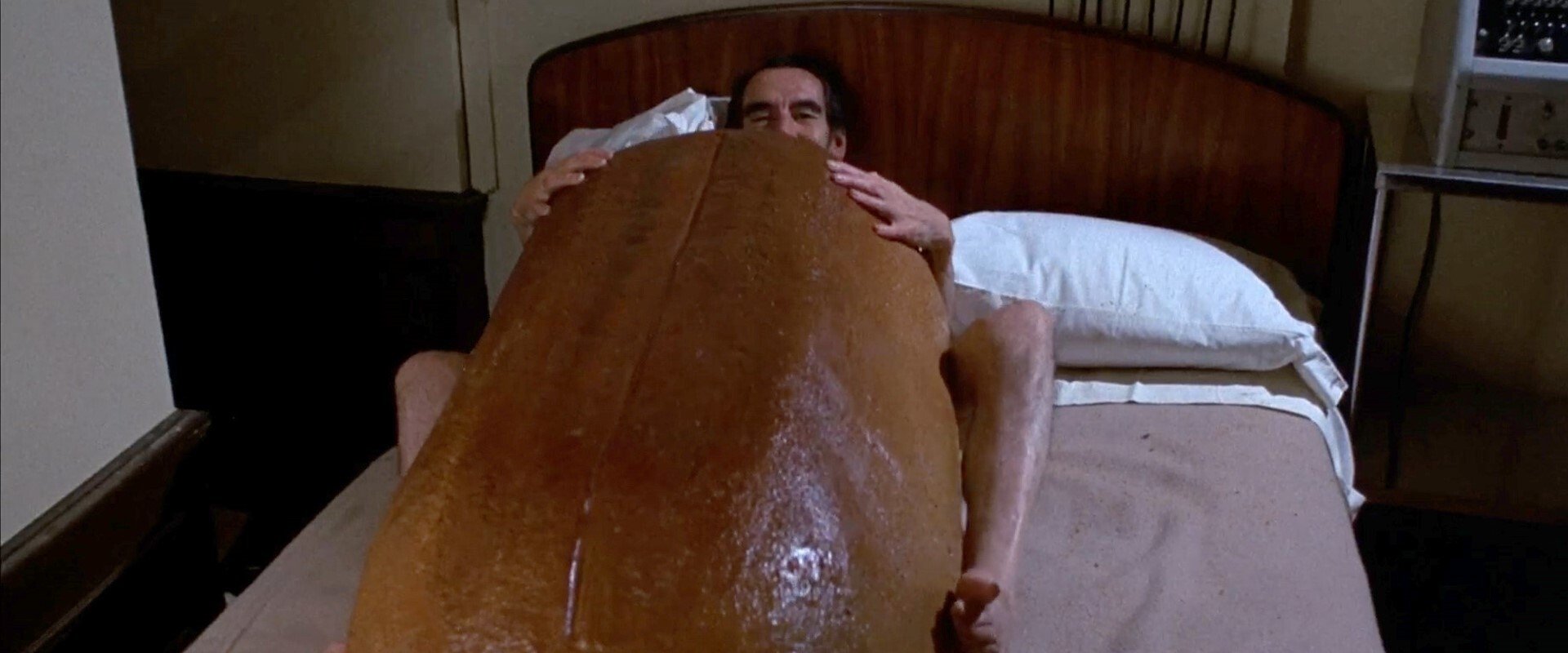 Everything You Always Wanted to Know About Sex *But Were Afraid to Ask