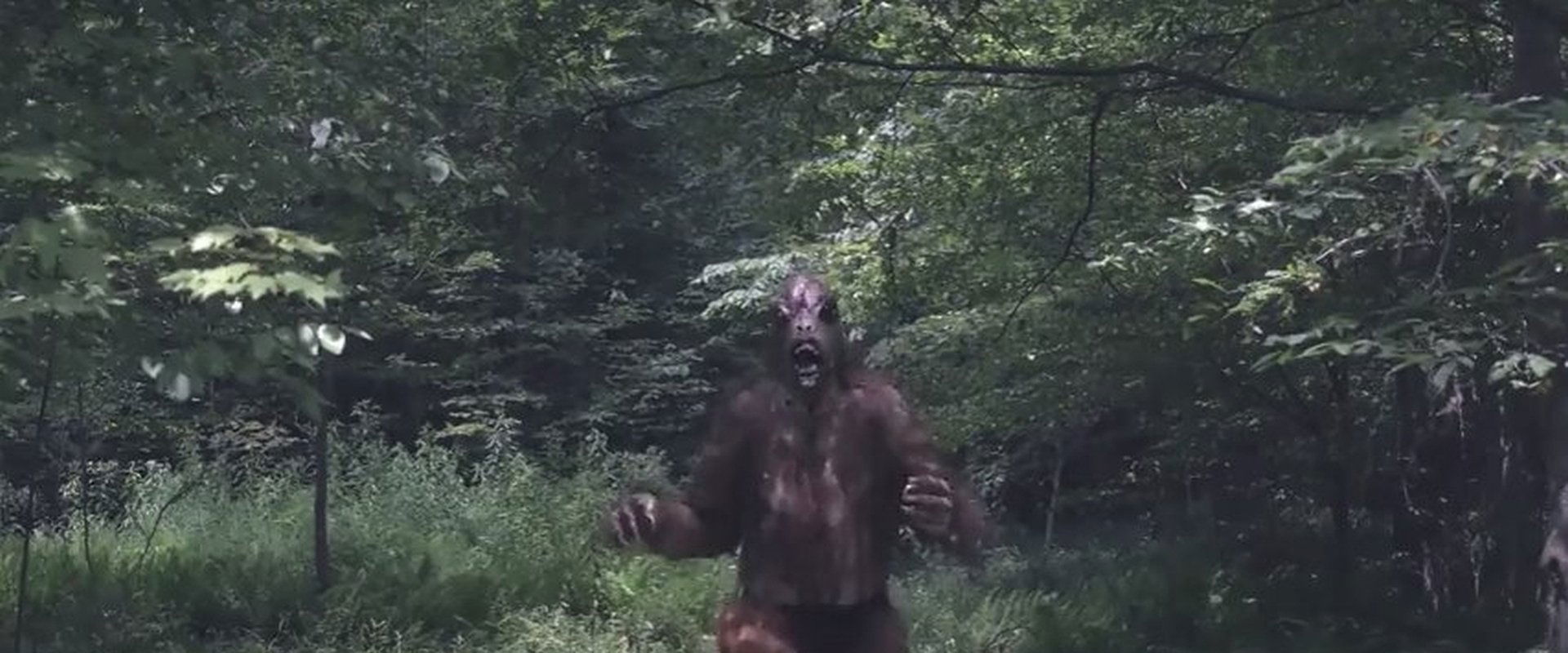Mountain Devil 3: The Bigfoot Invasion