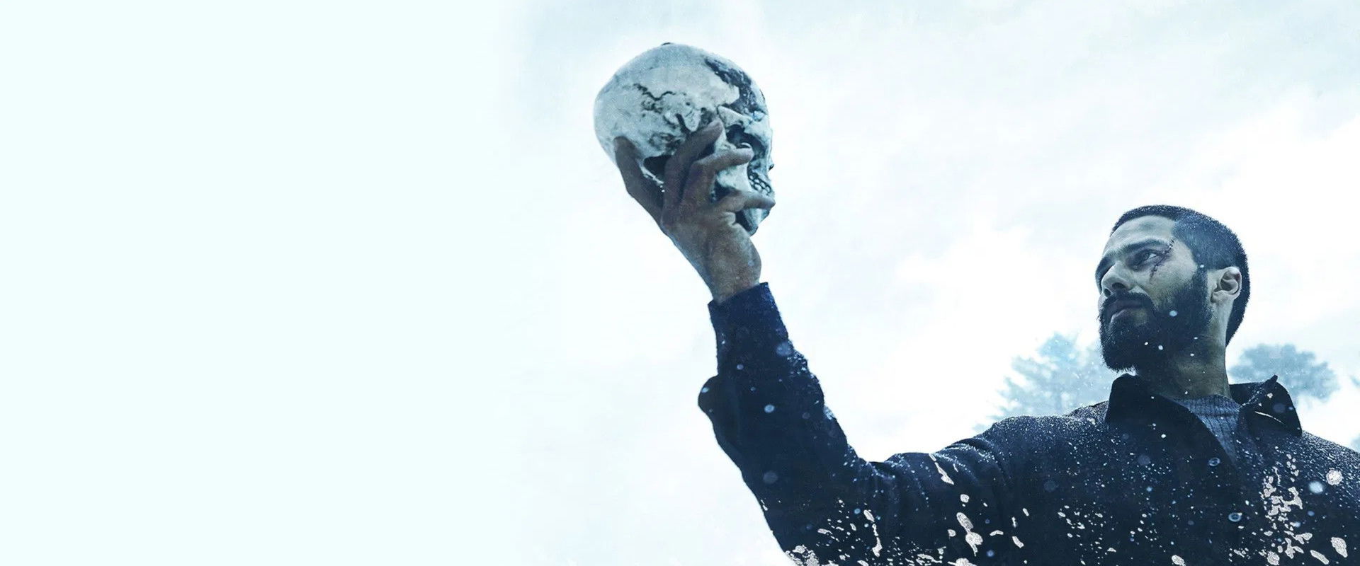 Haider's banner image