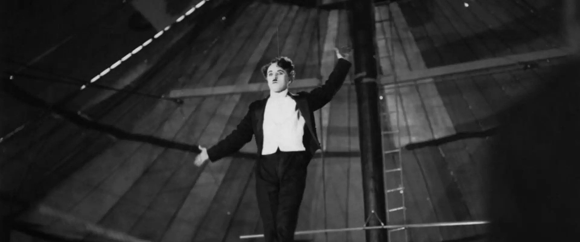 The Circus's banner image