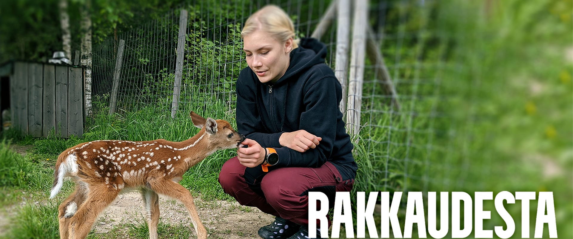 Rakkaudesta villieläimiin