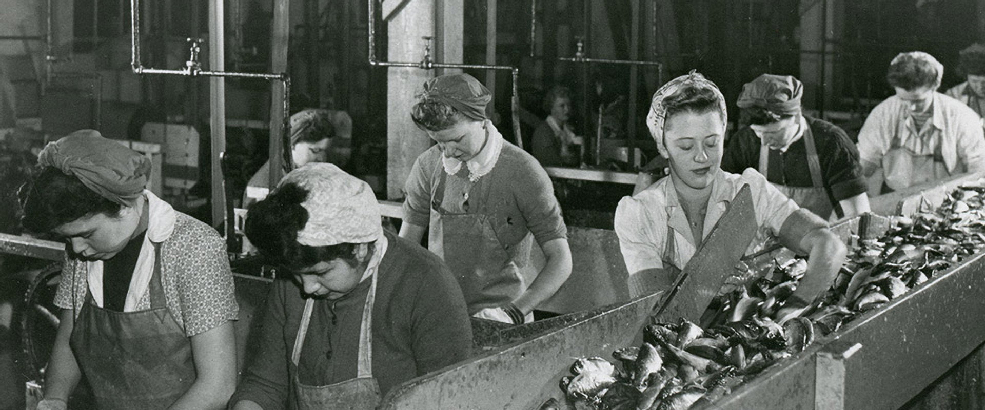 Working People: A History of Labour in British Columbia