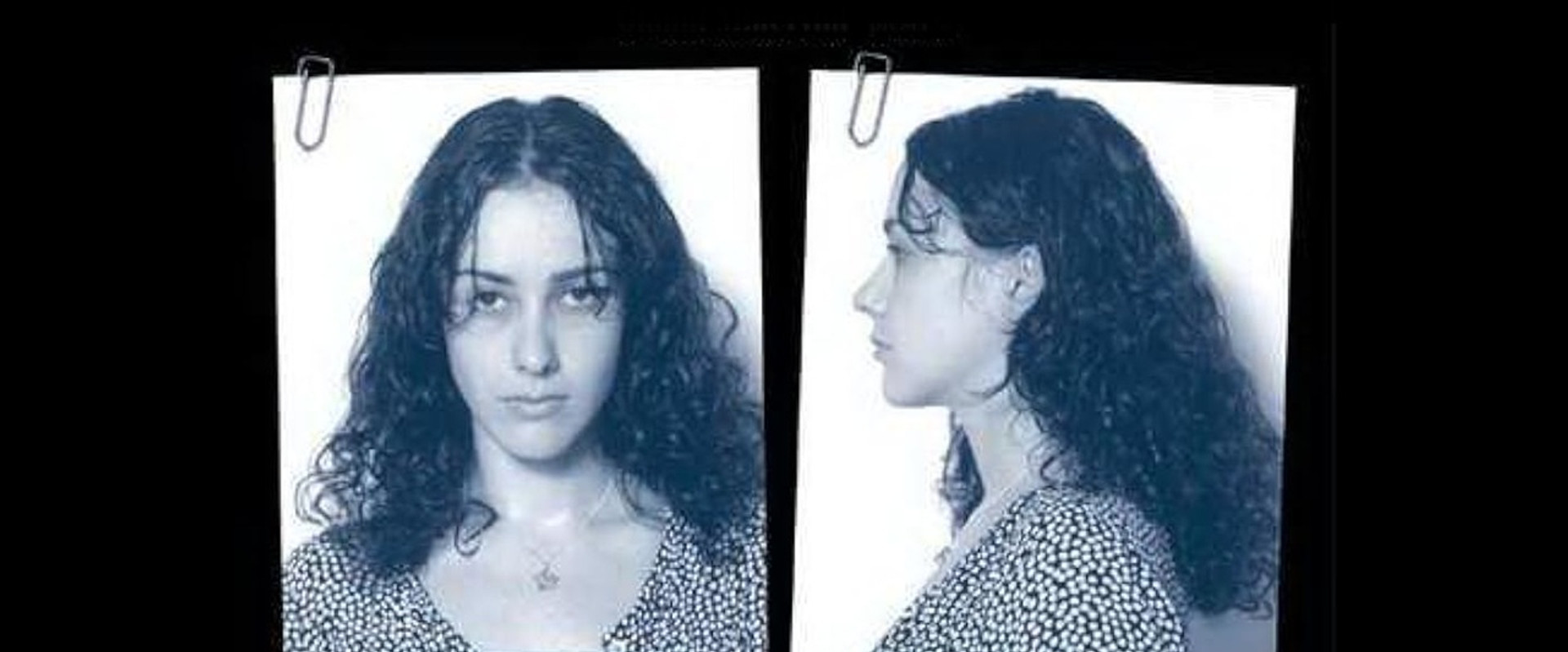 Senza movente's banner image