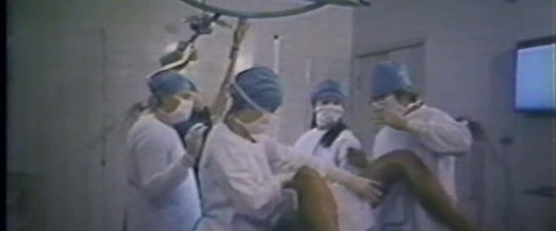 Hospital of Corruption and Pleasures's banner image