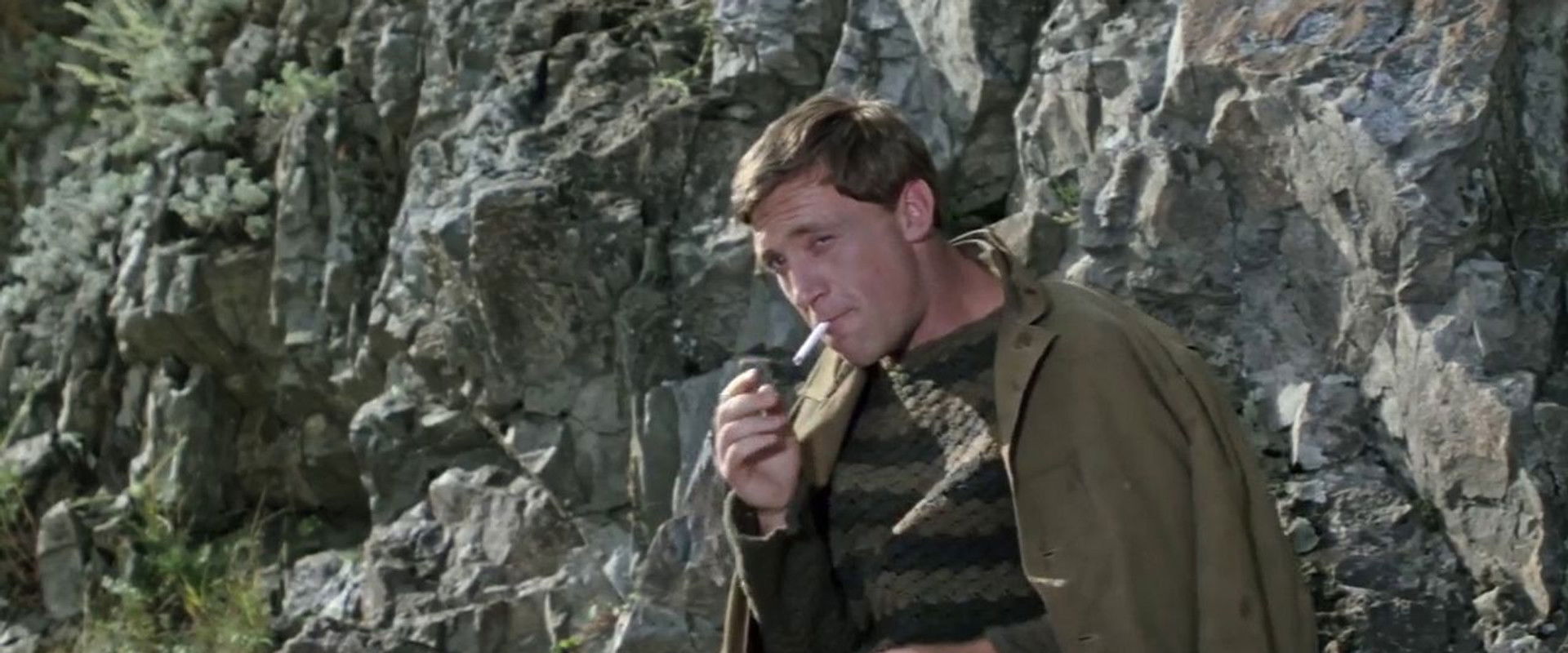 The Master of Taiga's banner image