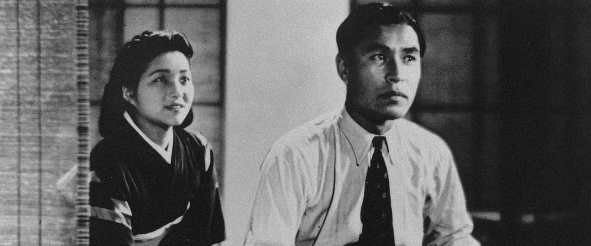 South Wind's banner image