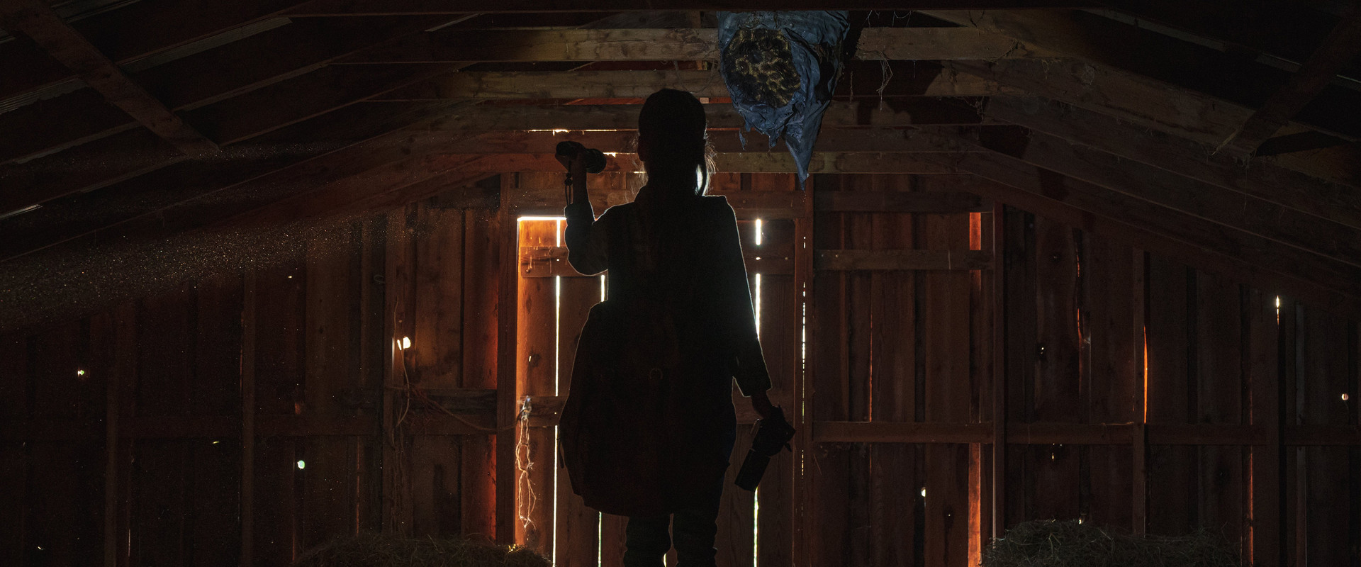 The Beehive's banner image