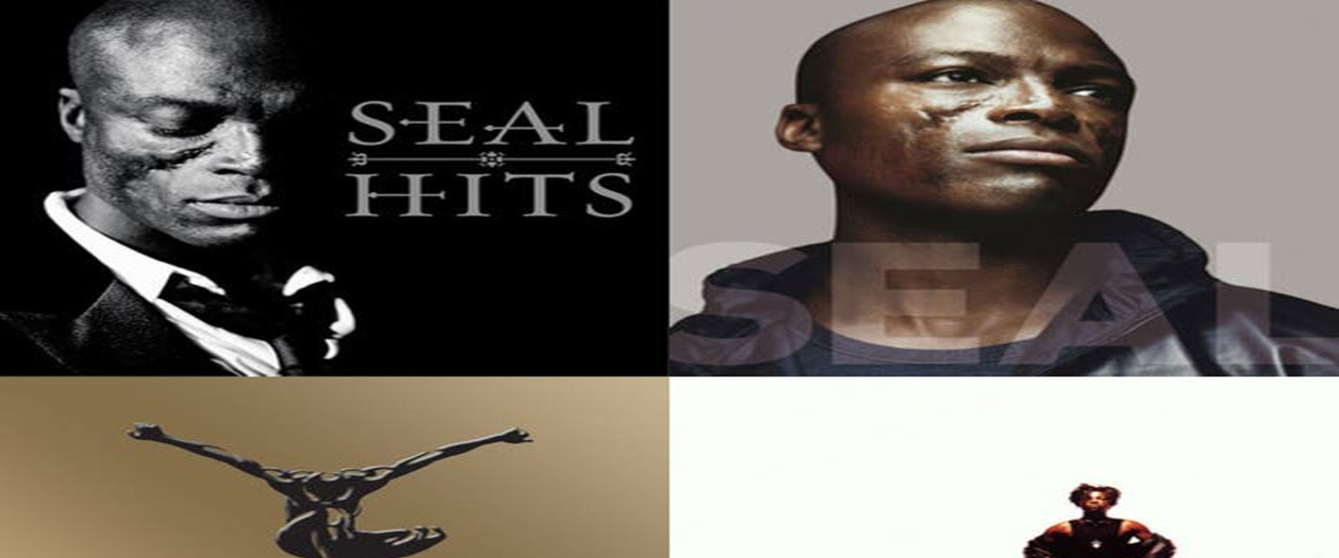 Seal - Best 1991 to 2004's banner image
