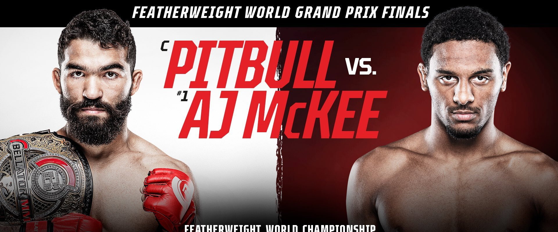 Bellator 263: Pitbull vs. McKee's banner image