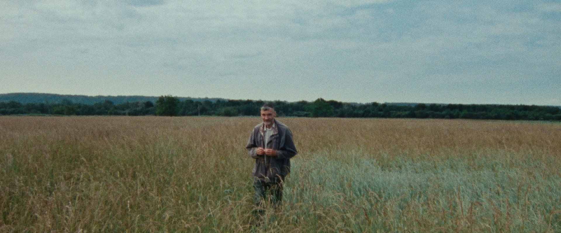 7 Walks with Mark Brown's banner image