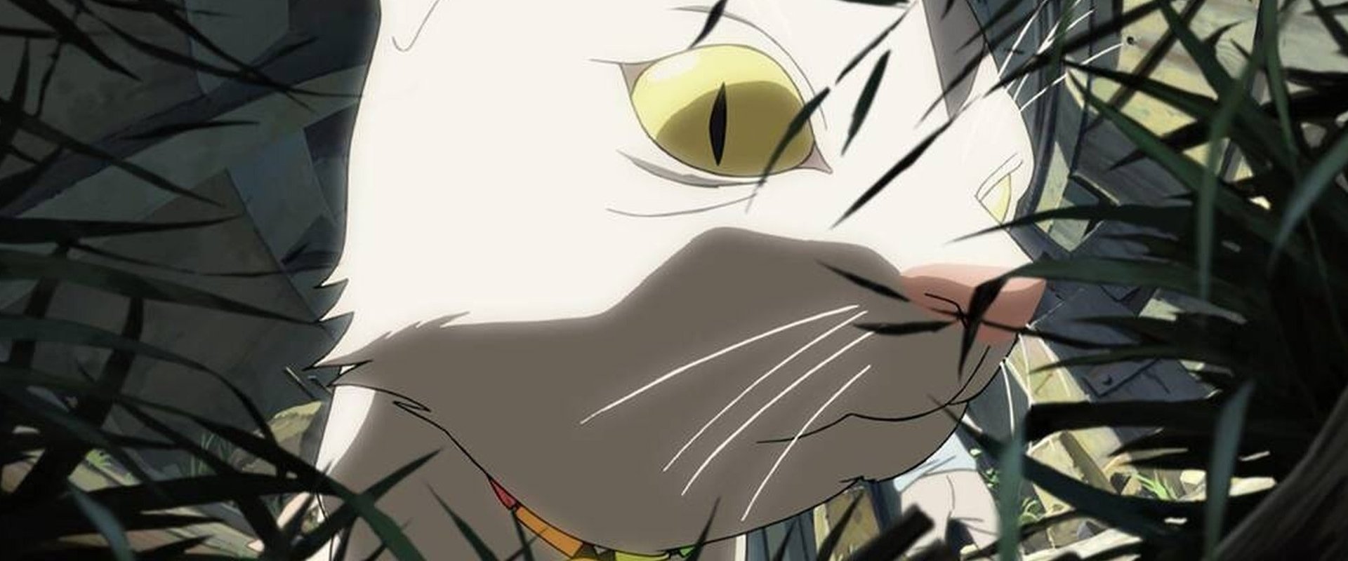 Beyond's banner image