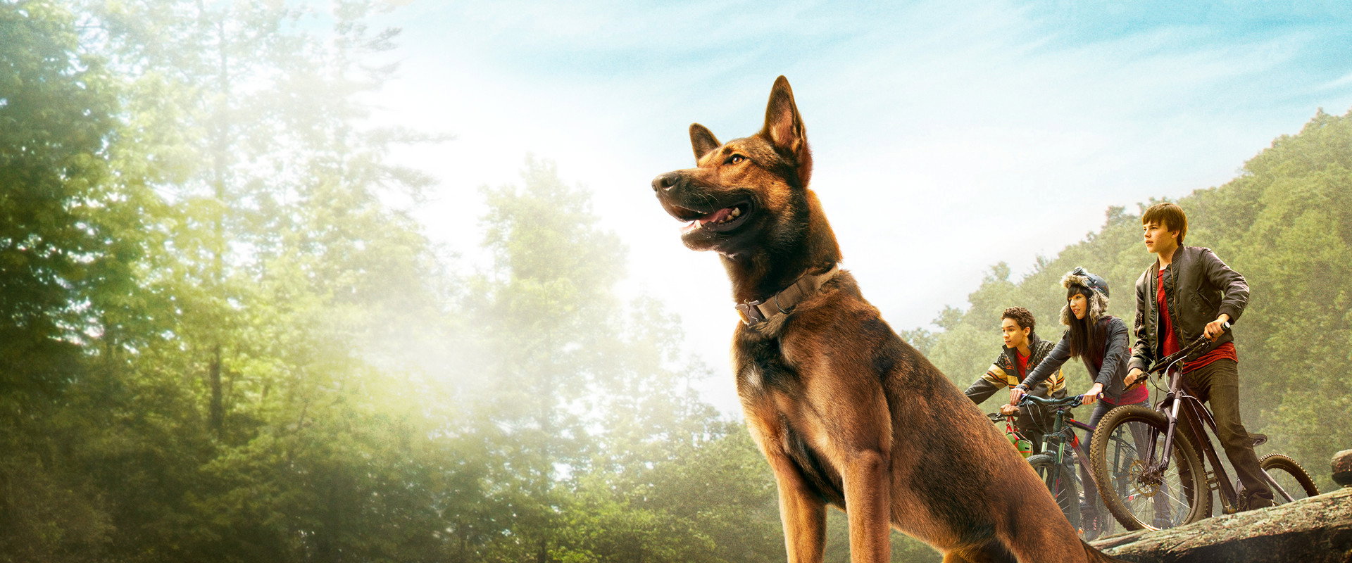 Max — imagen panoramica