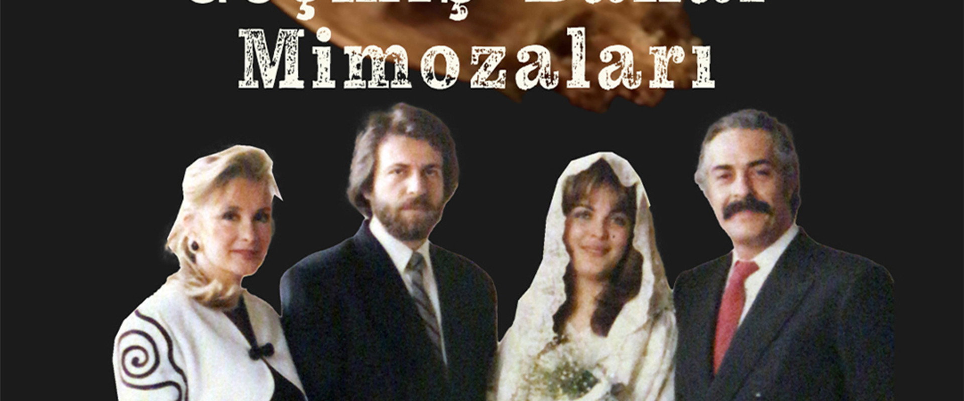 Geçmiş Bahar Mimozaları's banner image