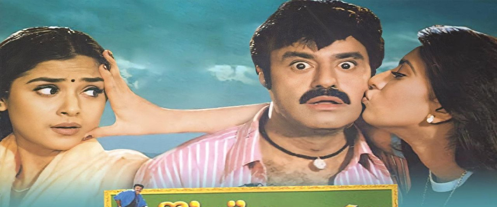 Goppinti Alludu's banner image