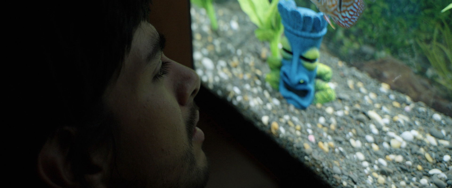 Notes from a Fish's banner image