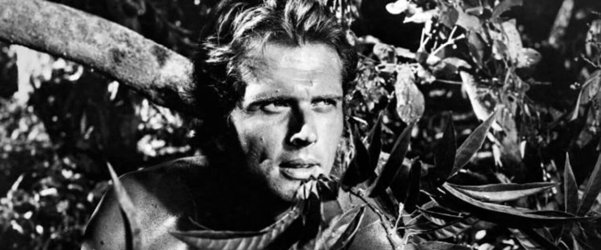 Tarzan - Backdrop