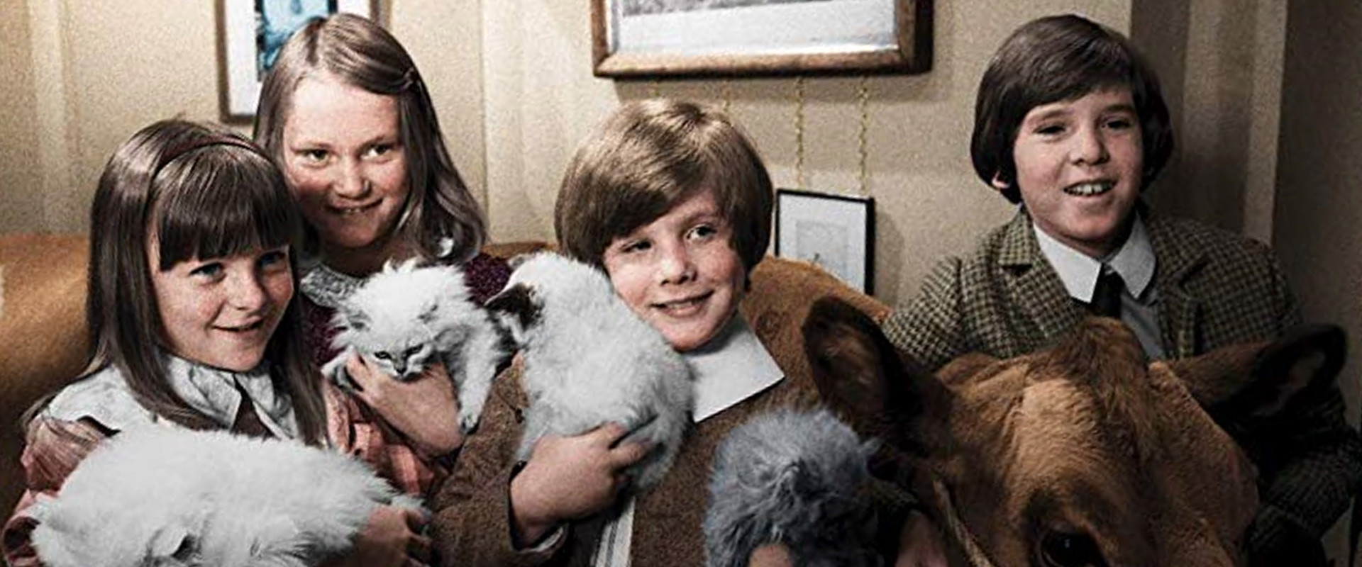 The Phoenix and the Carpet