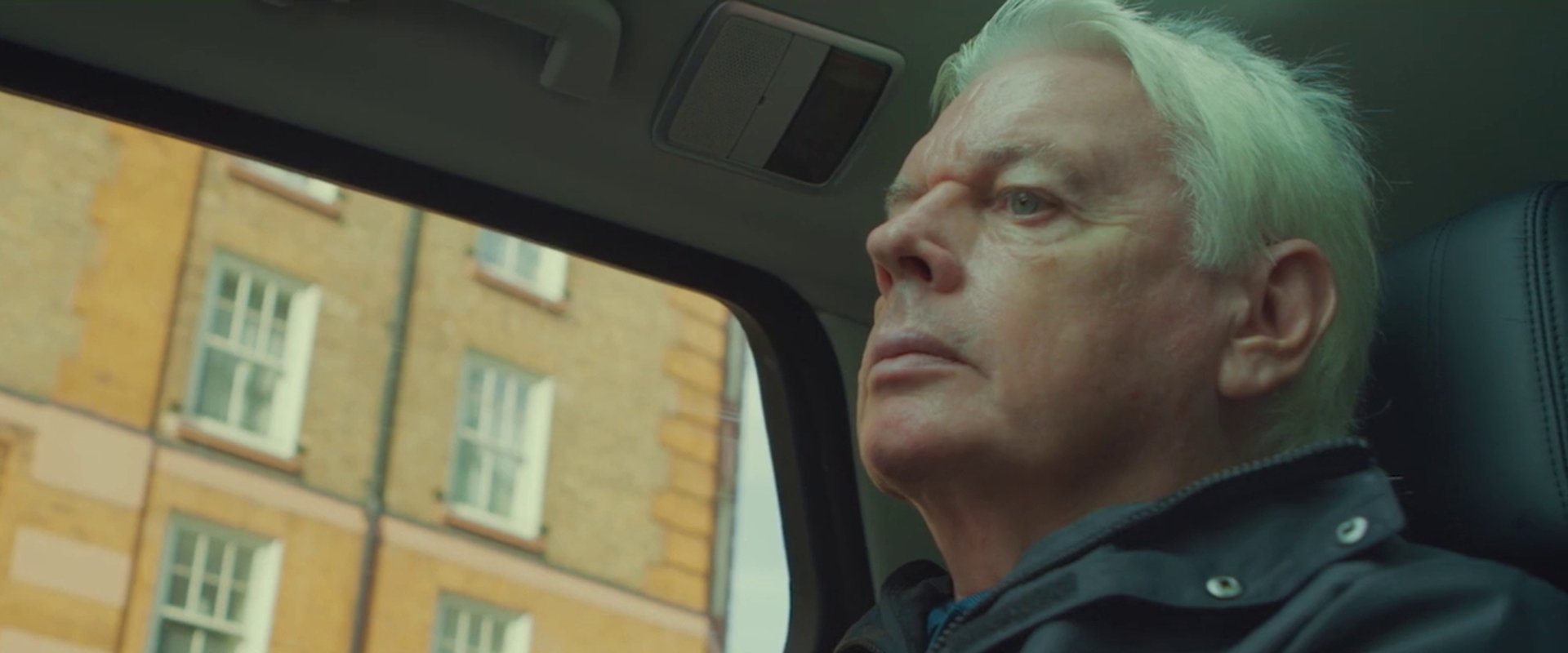 Renegade: The Life Story of David Icke