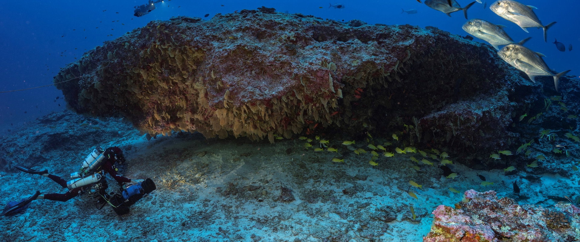 The mysteries of Mont La Pérouse's banner image