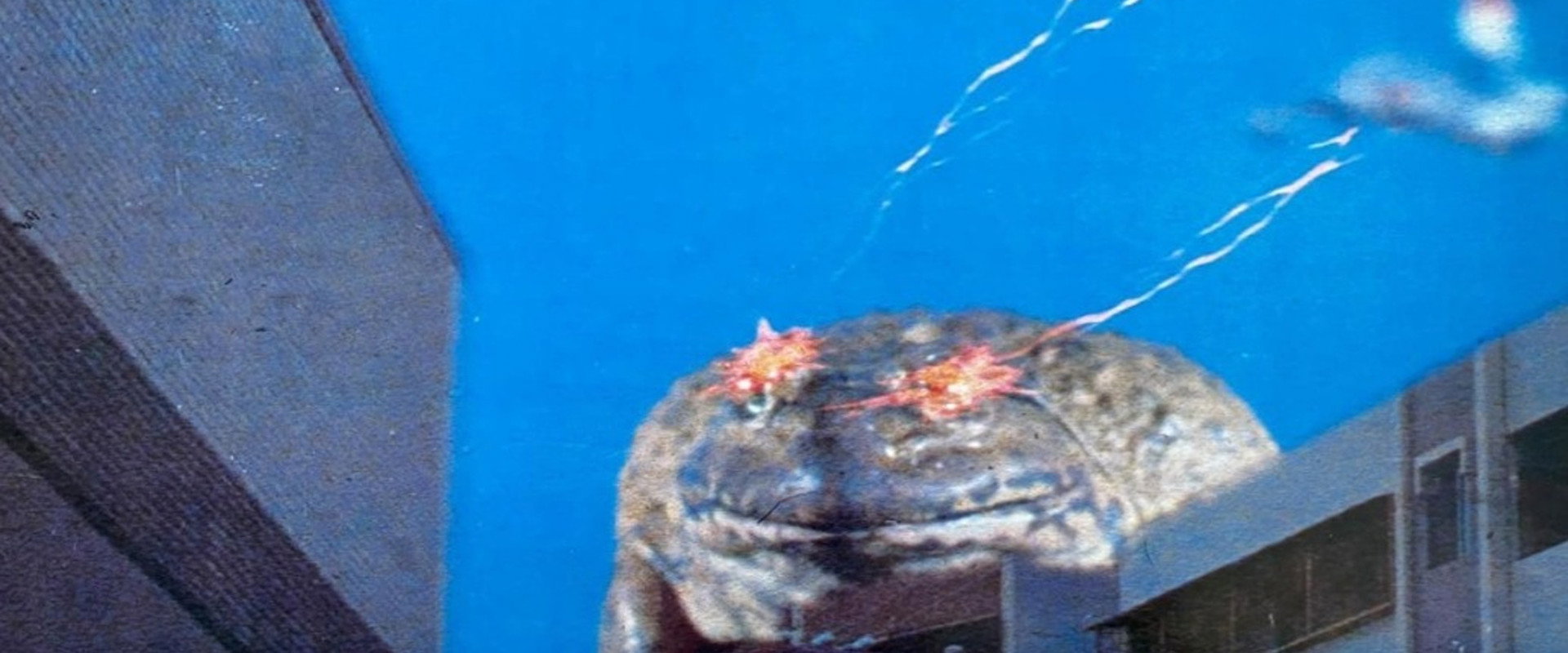 Who Killed The Frog's banner image