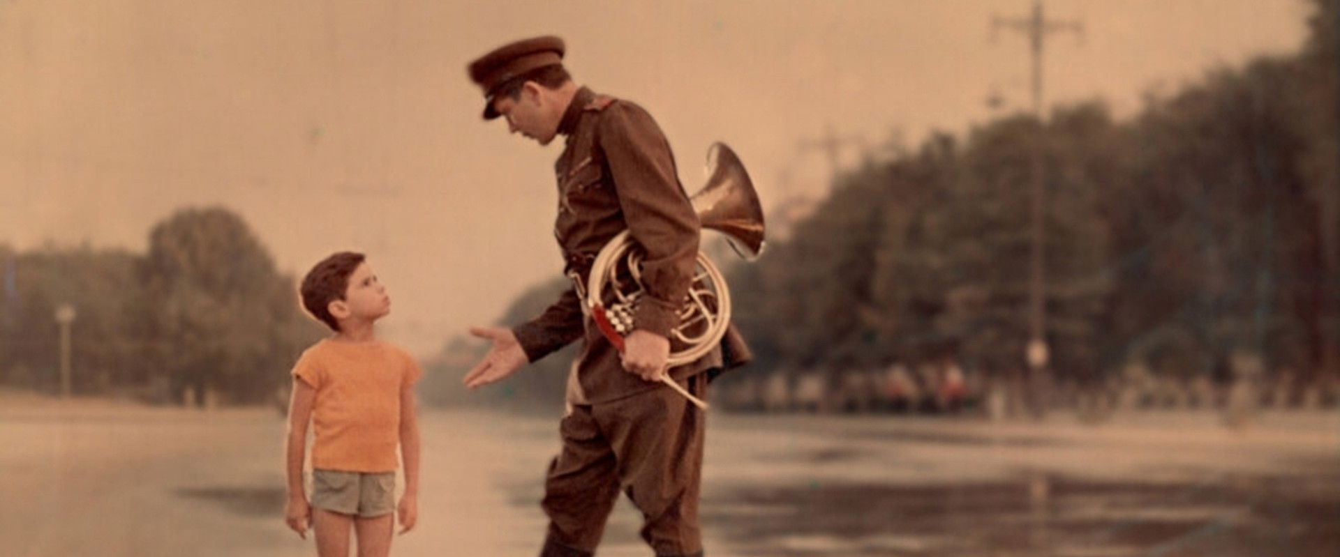 Following the Sun's banner image