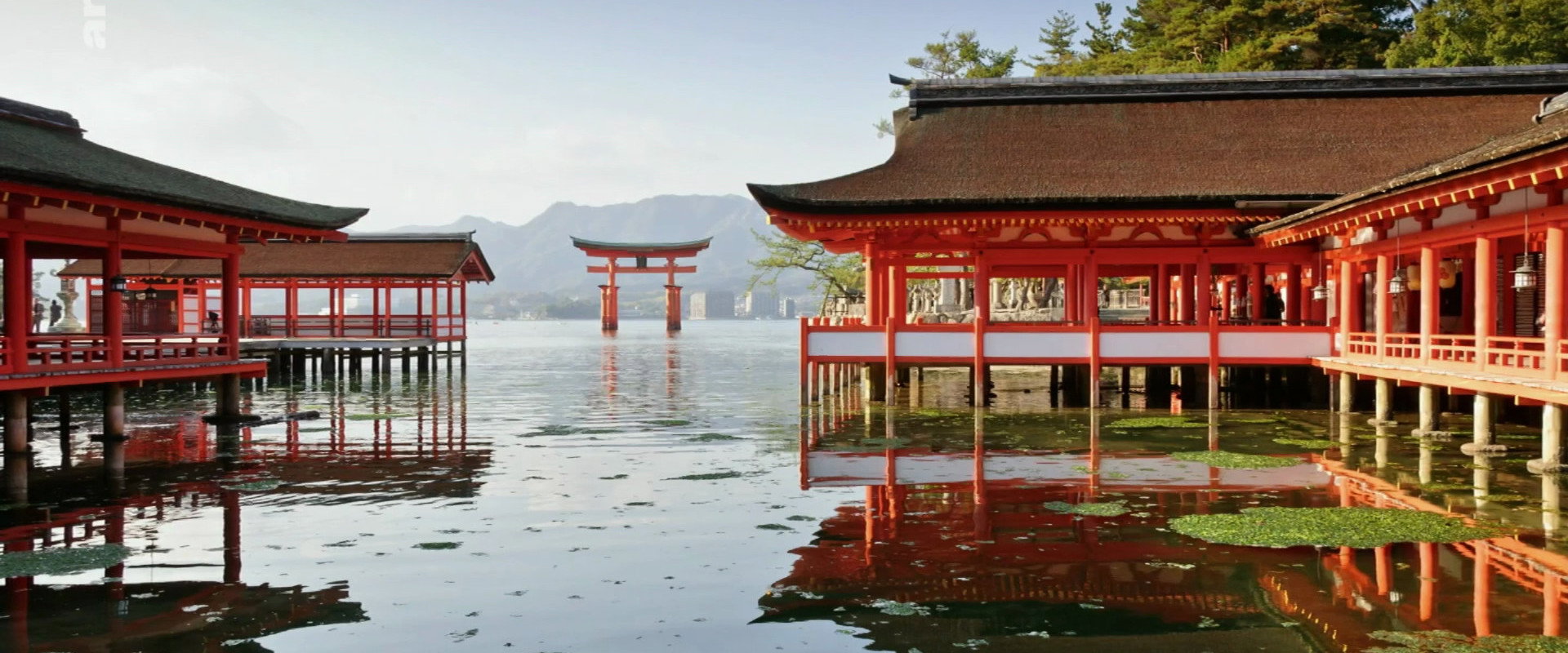 Empire of Mirrors's banner image