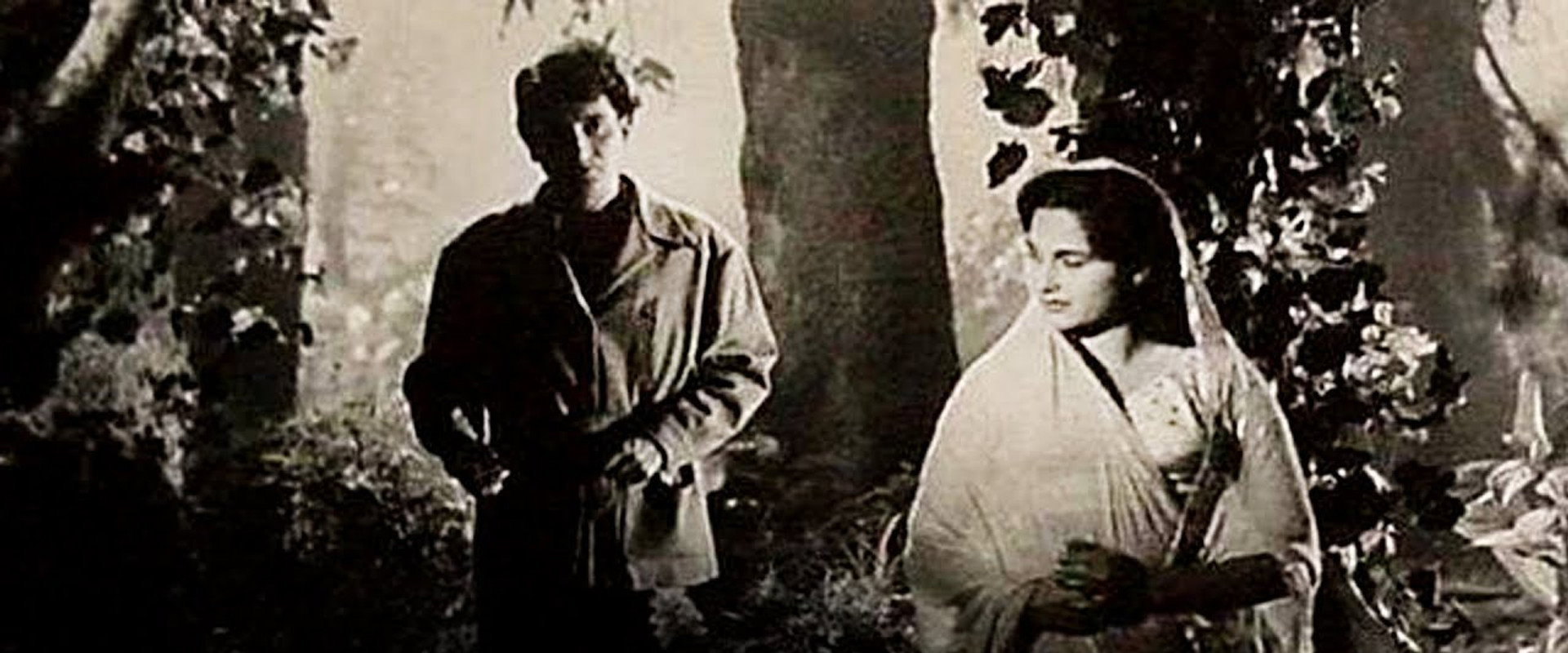 Meenar's banner image