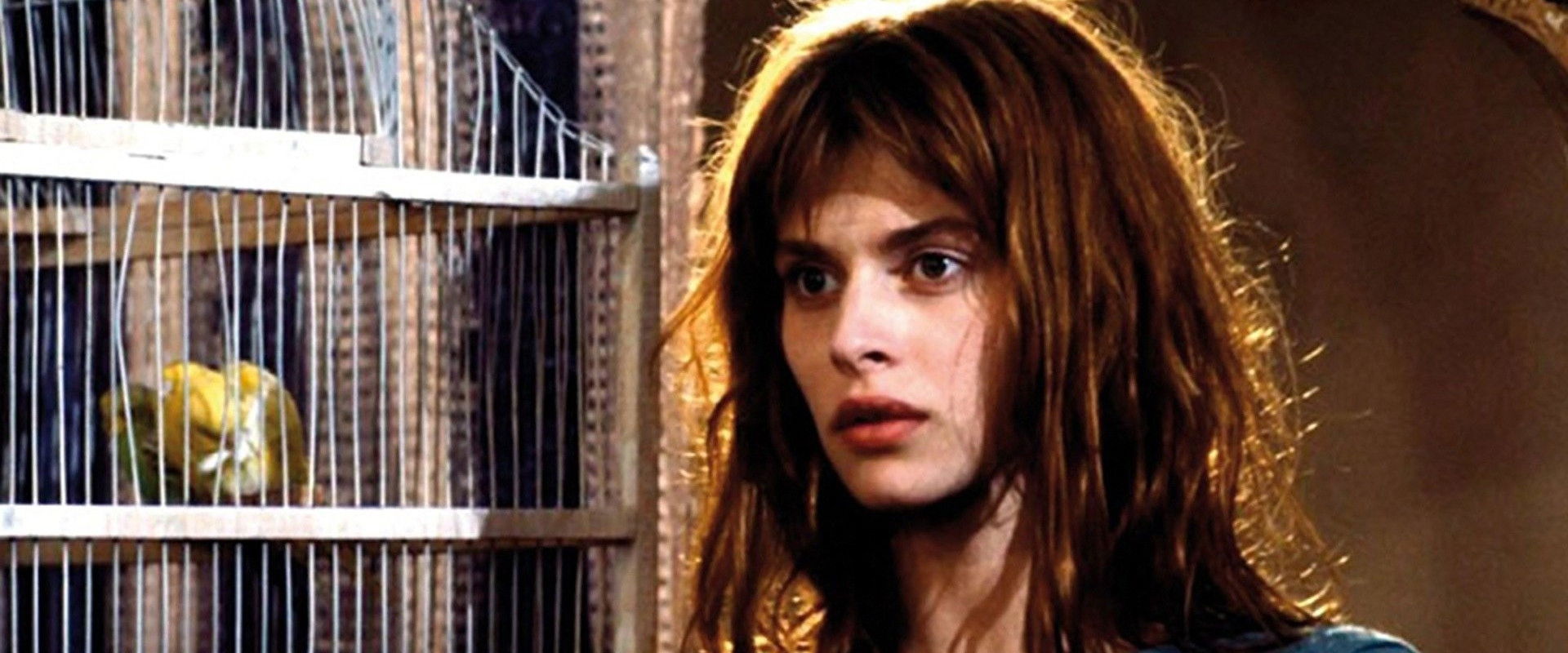 Harem's banner image