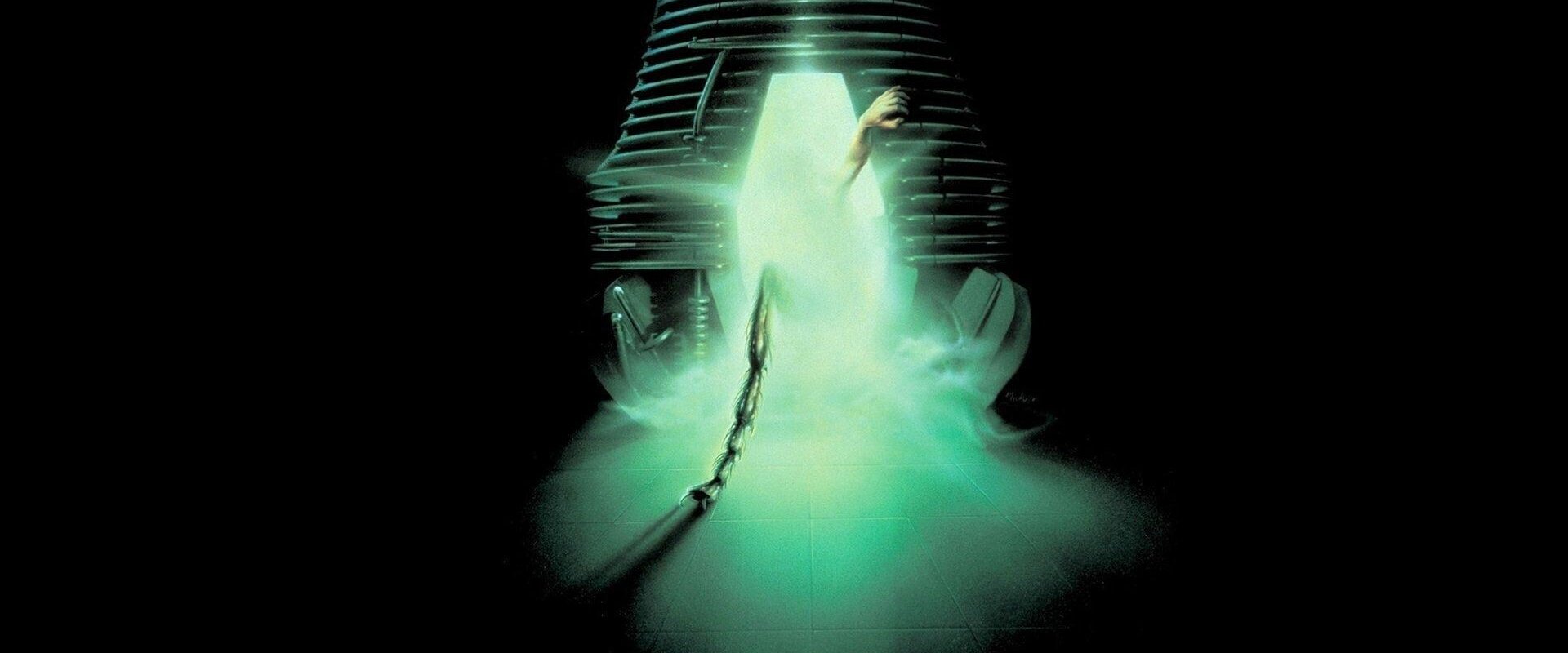 The Fly