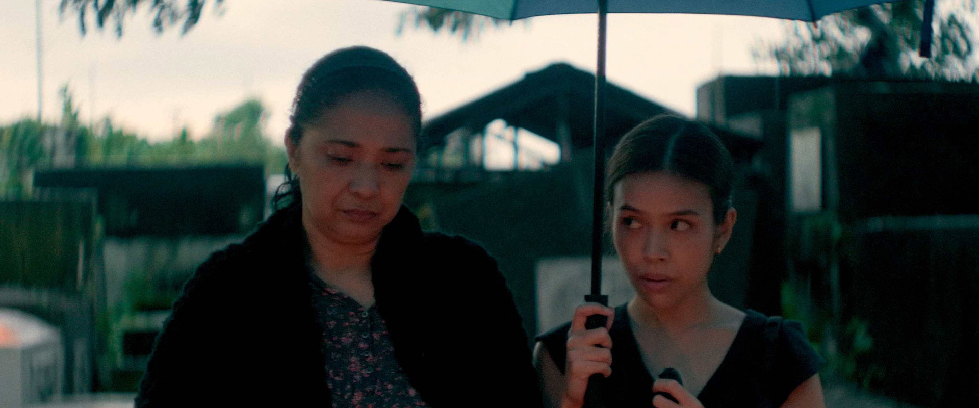 When It Rained Malunggay Leaves's banner image
