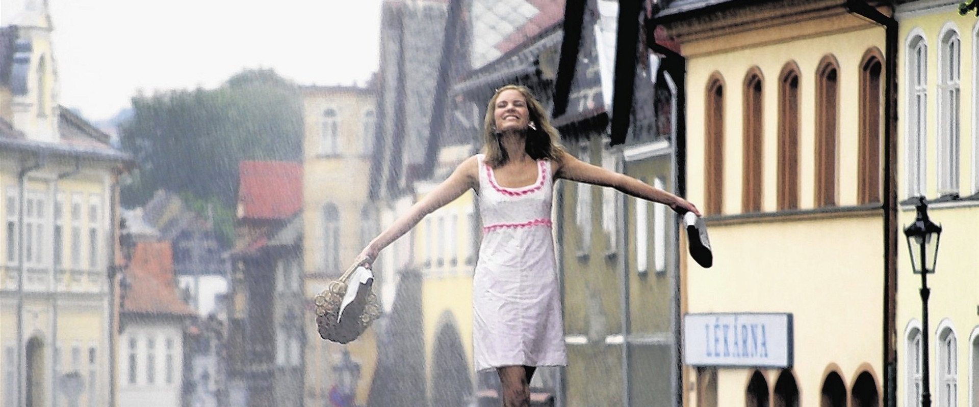 Rebels's banner image