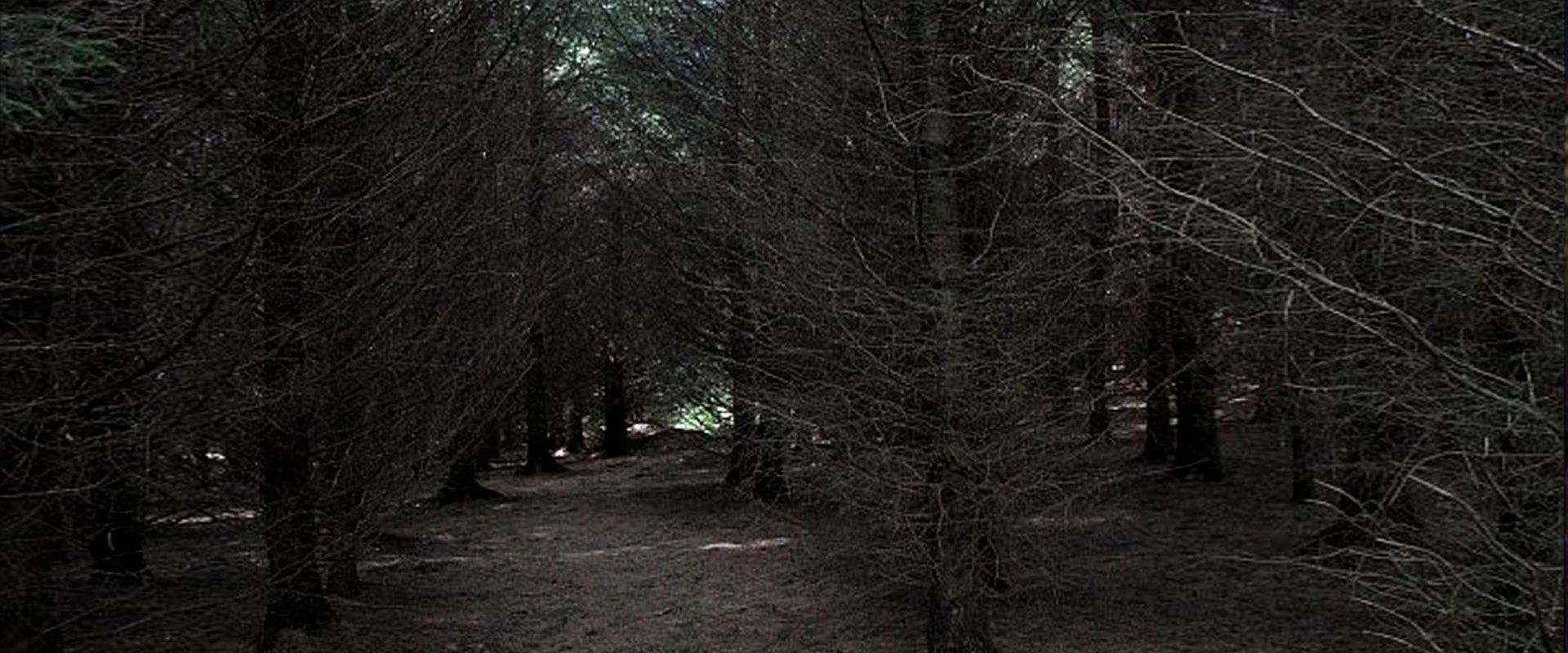 Dark Realm