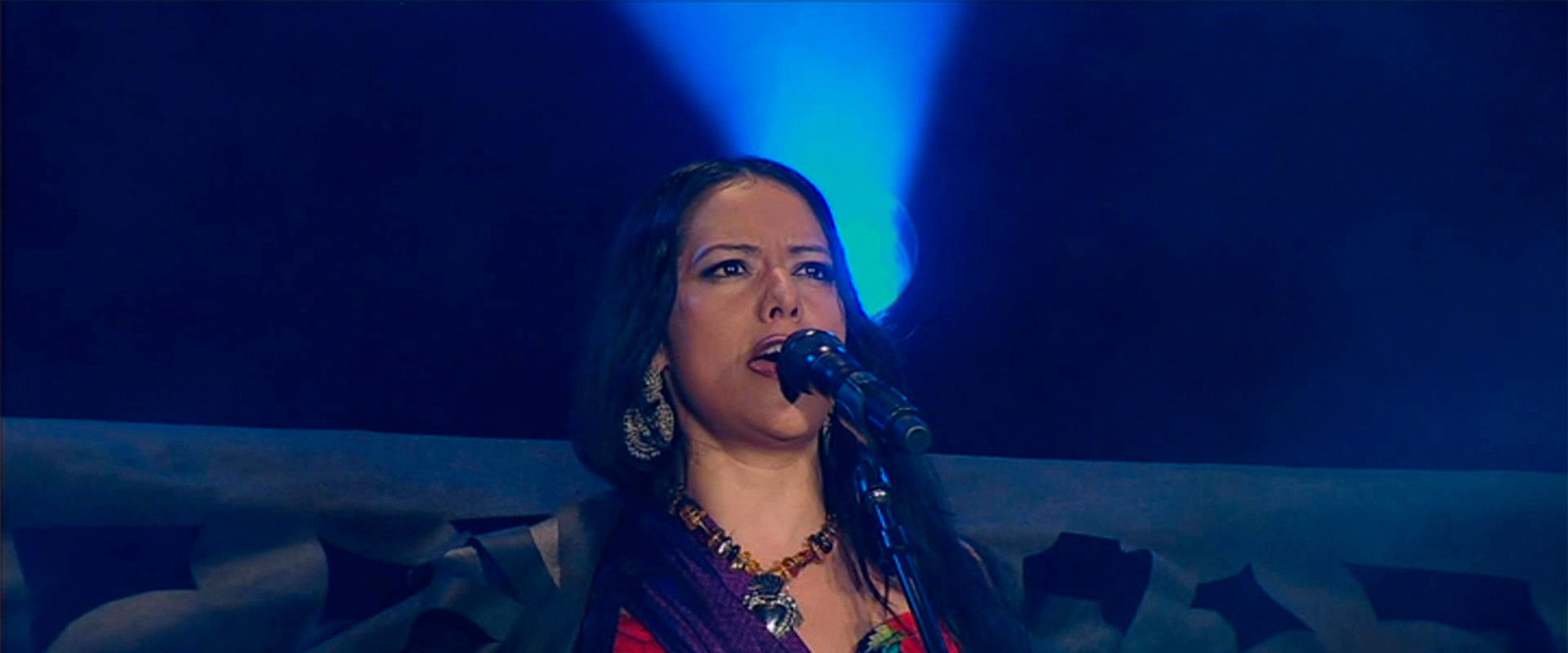 Lila Downs  - Pecados y Milagros's banner image