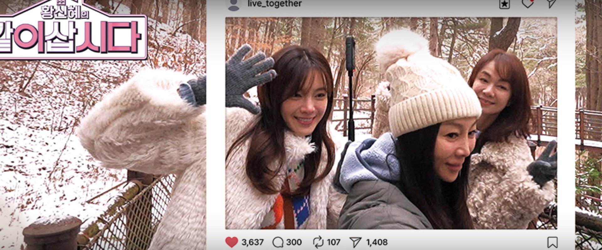 황신혜의 같이 삽시다's banner image