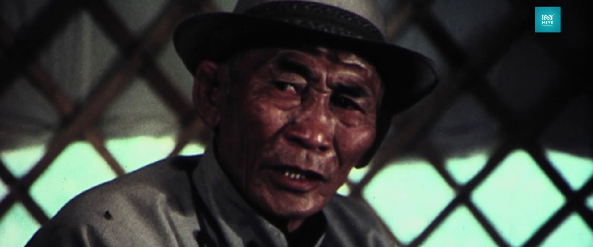 Palm trees are green in Winter's banner image