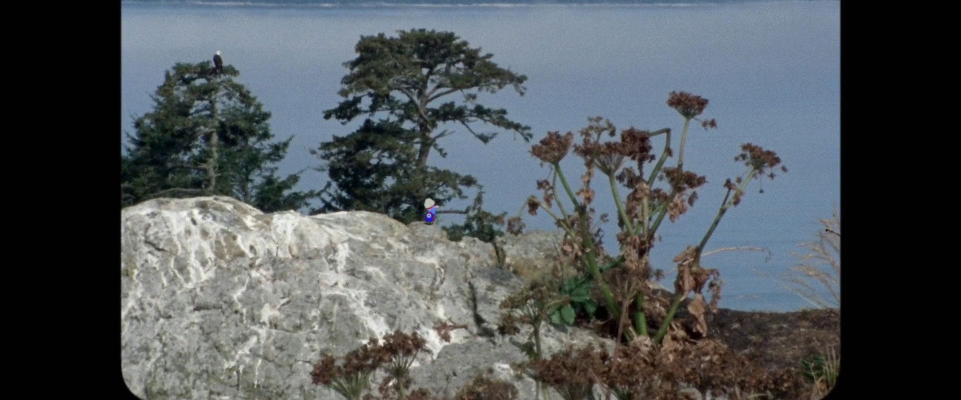 The Stand's banner image