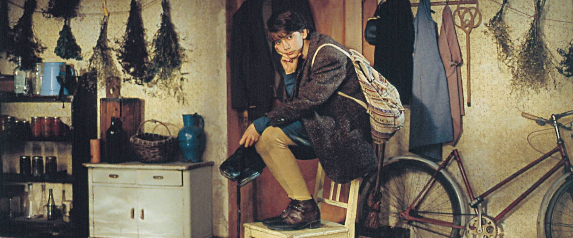 Orbis Pictus's banner image