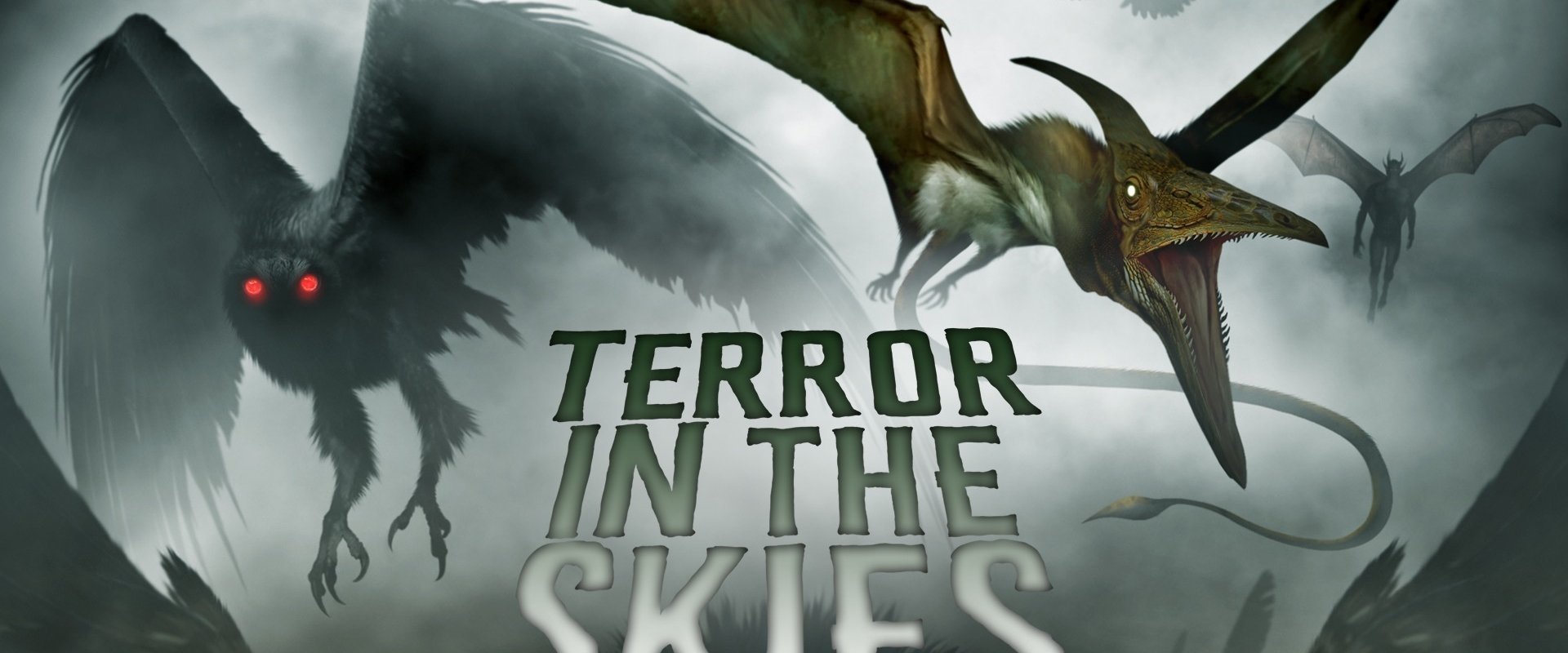 Terror in the Skies