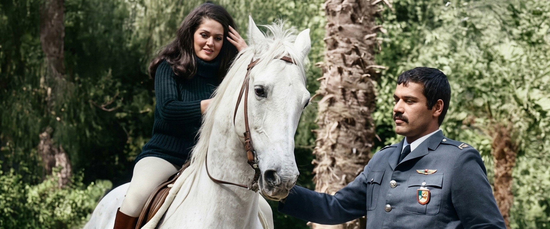 Mercy's banner image