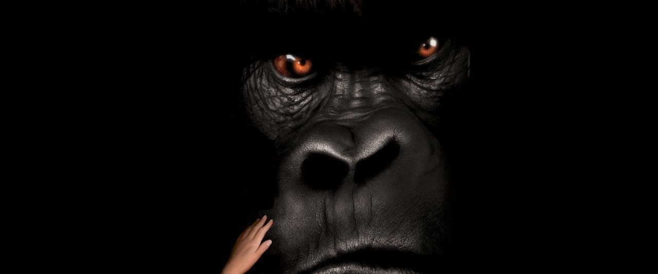 Kaverini mahtava Joe