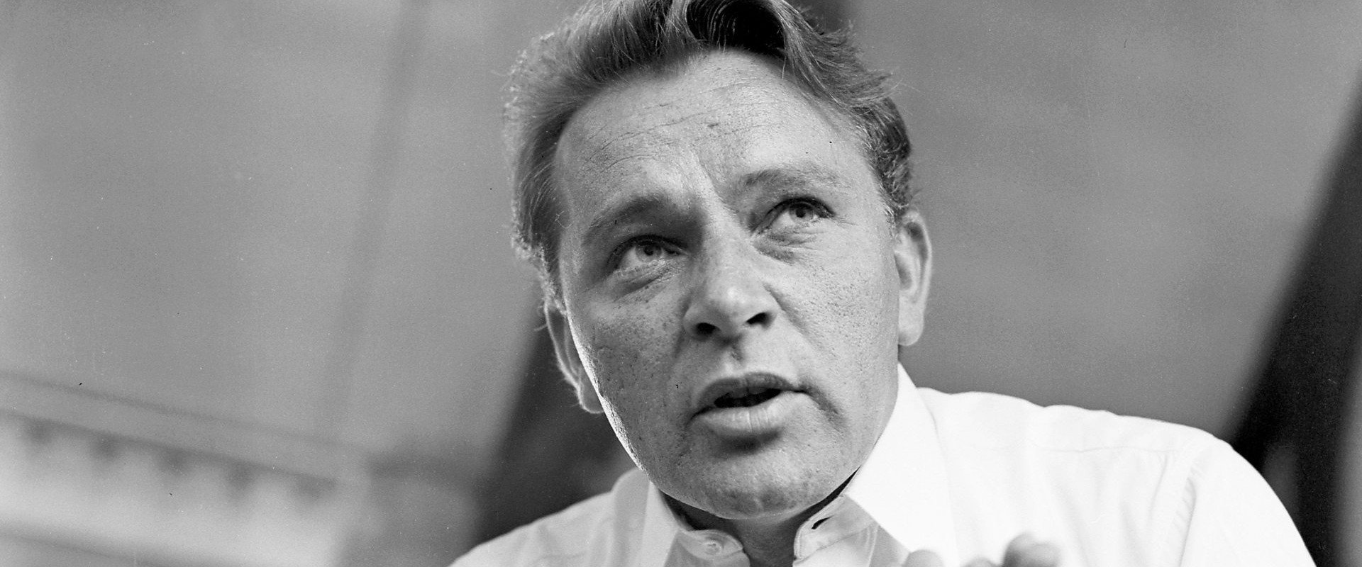 Richard Burton: Wild Genius's banner image