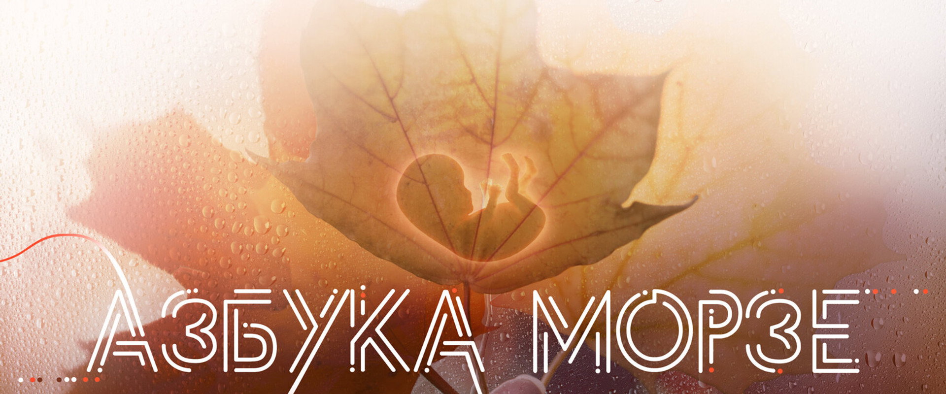 Morse Code's banner image