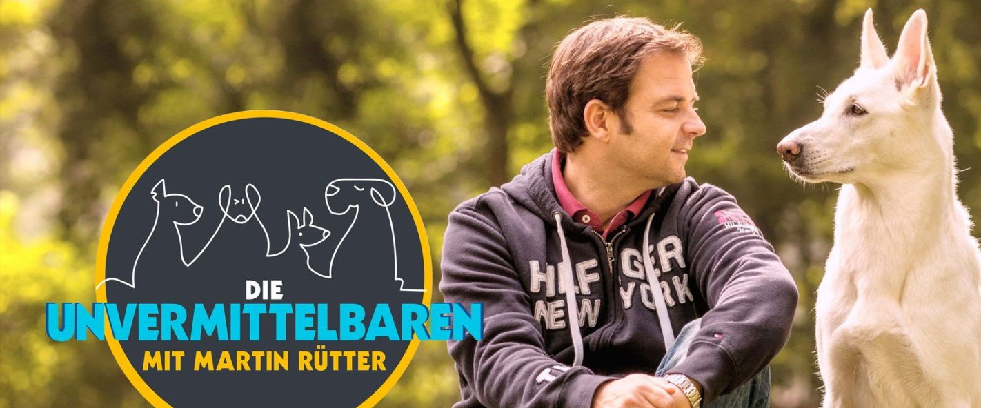 Die Unvermittelbaren – mit Martin Rütter