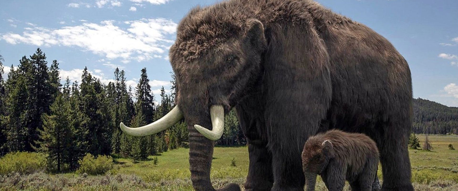 Ice Age Giants