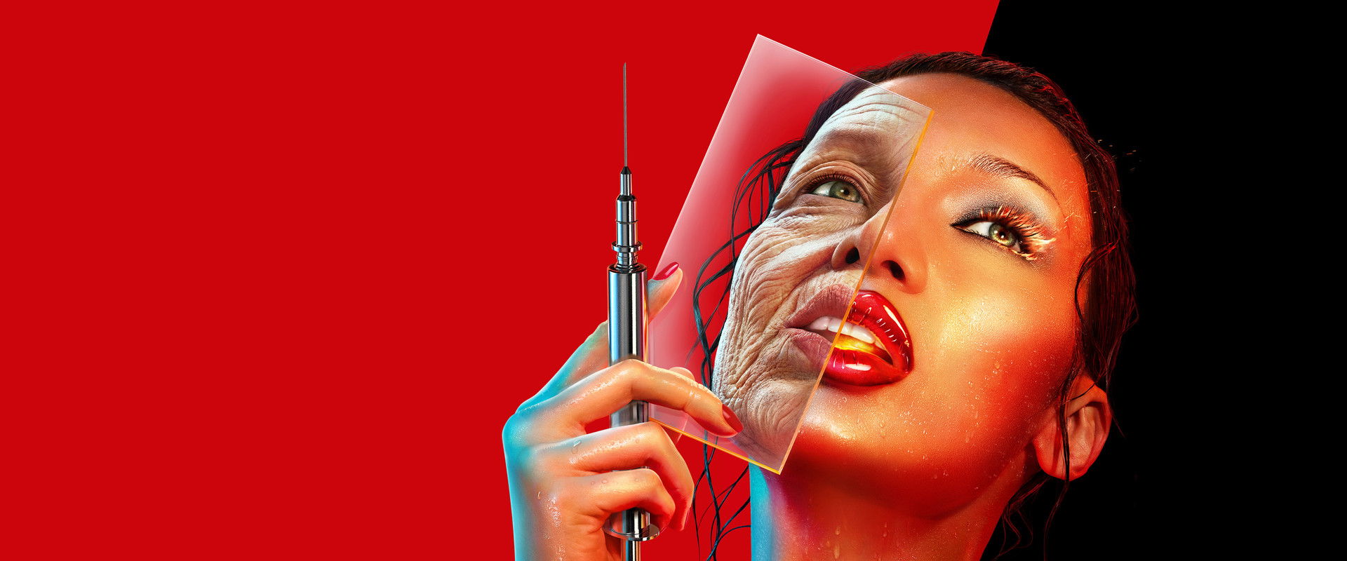 The Beauty's banner image