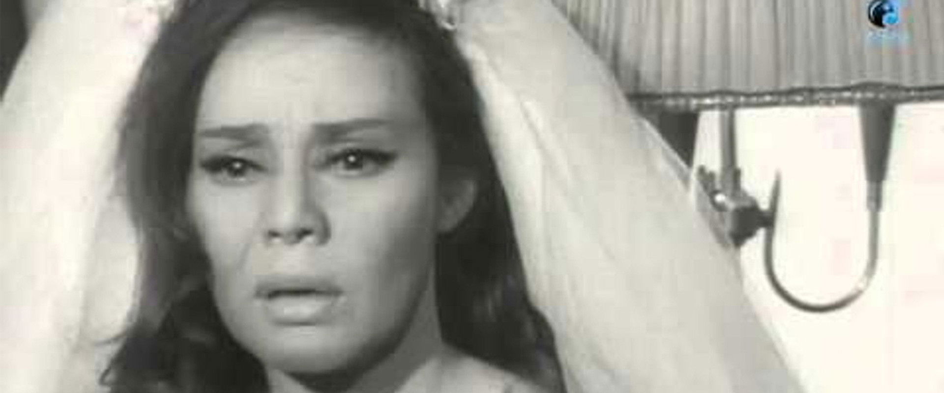 Wife of five men's banner image