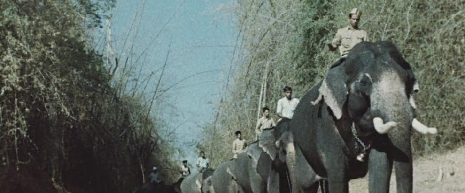 India: Matri Bhumi